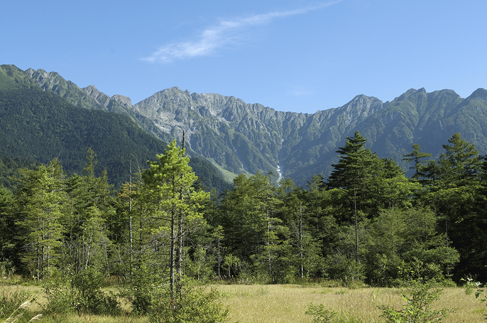 山林売却